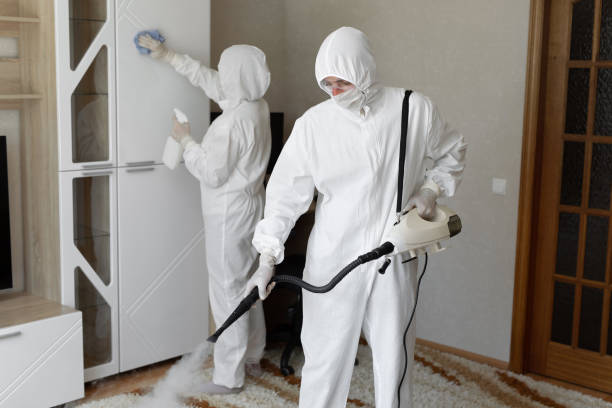 Best Mold Damage Repair  in Leadville North, CO